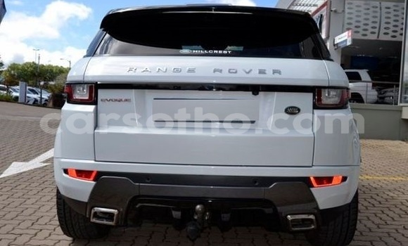 Buy Used Land Rover Range Rover Evoque White Car in Maseru in Maseru Buy Used Land Rover Range Rover Evoque White Car in Maseru in Maseru