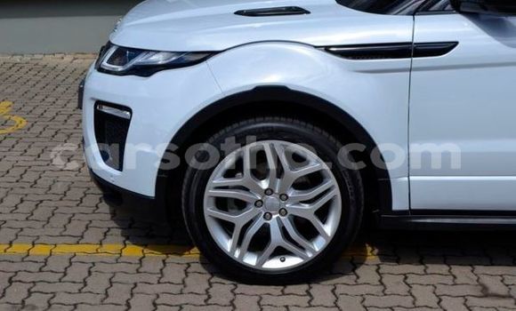 Buy Used Land Rover Range Rover Evoque White Car in Maseru in Maseru Buy Used Land Rover Range Rover Evoque White Car in Maseru in Maseru