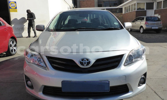 Buy Used Toyota Corolla Silver Car in Maseru in Maseru Buy Used Toyota Corolla Silver Car in Maseru in Maseru