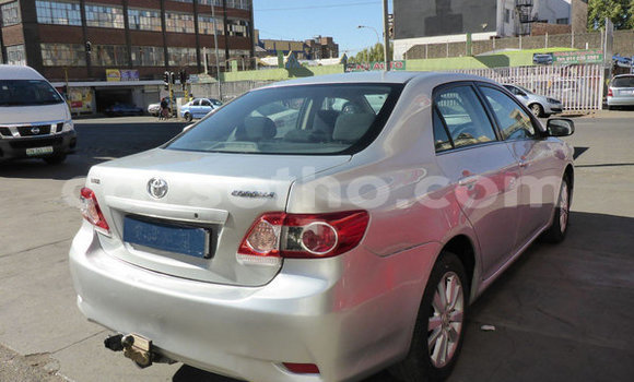 Buy Used Toyota Corolla Silver Car in Maseru in Maseru Buy Used Toyota Corolla Silver Car in Maseru in Maseru
