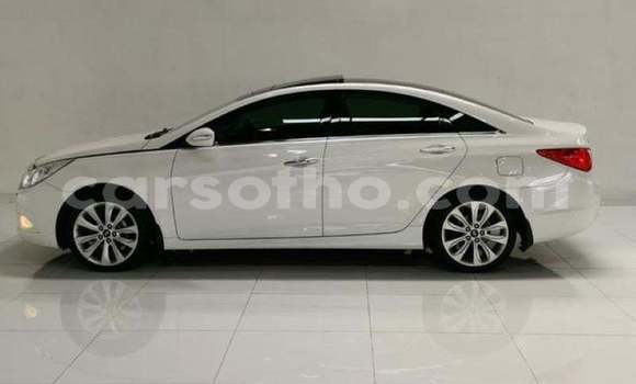 اشتري مستعمل Hyundai Sonata White سيارة في Maseru في Maseru اشتري مستعمل Hyundai Sonata White سيارة في Maseru في Maseru