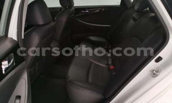 اشتري مستعمل Hyundai Sonata White سيارة في Maseru في Maseru اشتري مستعمل Hyundai Sonata White سيارة في Maseru في Maseru