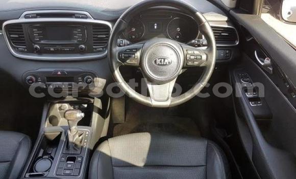 Sayi Na hannu Kia Sorento White Mota in Hlotse a Leribe Sayi Na hannu Kia Sorento White Mota in Hlotse a Leribe