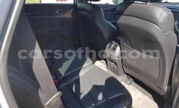 Sayi Na hannu Kia Sorento White Mota in Hlotse a Leribe Sayi Na hannu Kia Sorento White Mota in Hlotse a Leribe