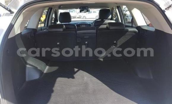 Sayi Na hannu Kia Sorento White Mota in Hlotse a Leribe Sayi Na hannu Kia Sorento White Mota in Hlotse a Leribe