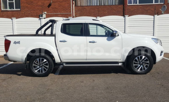 اشتري مستعمل Nissan Navara White سيارة في Hlotse في Leribe اشتري مستعمل Nissan Navara White سيارة في Hlotse في Leribe