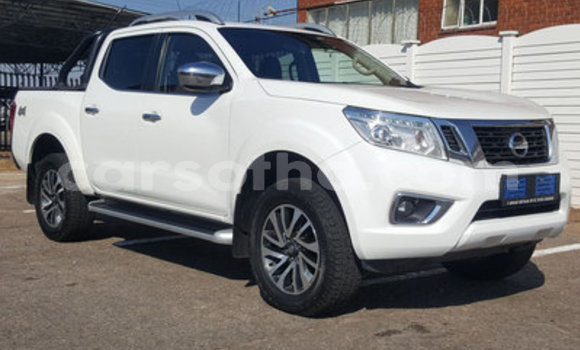 اشتري مستعمل Nissan Navara White سيارة في Hlotse في Leribe اشتري مستعمل Nissan Navara White سيارة في Hlotse في Leribe
