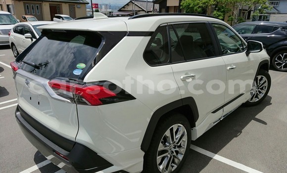 اشتري مستعمل Toyota RAV4 White سيارة في Mafeteng في Mafeteng اشتري مستعمل Toyota RAV4 White سيارة في Mafeteng في Mafeteng