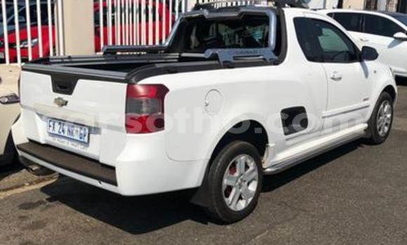 اشتري مستعمل Chevrolet Van White سيارة في Maseru في Maseru اشتري مستعمل Chevrolet Van White سيارة في Maseru في Maseru