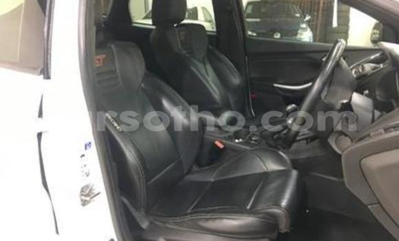 Sayi Na hannu Ford Focus ST Other Mota in Peka a Leribe Sayi Na hannu Ford Focus ST Other Mota in Peka a Leribe