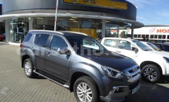 اشتري مستعمل Isuzu MU-X Other سيارة في Maseru في Maseru اشتري مستعمل Isuzu MU-X Other سيارة في Maseru في Maseru