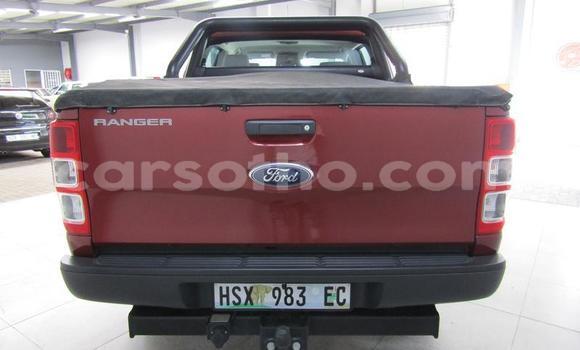 Buy Used Ford Ranger Red Car in Hlotse in Leribe Buy Used Ford Ranger Red Car in Hlotse in Leribe
