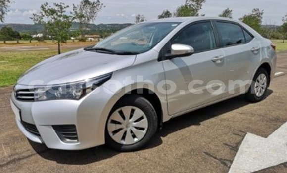 Buy Used Toyota Corolla Silver Car in Hlotse in Leribe Buy Used Toyota Corolla Silver Car in Hlotse in Leribe