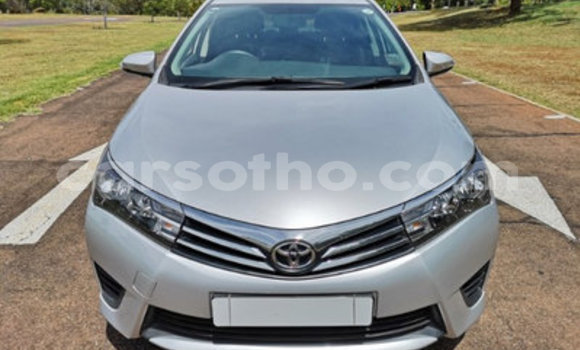 Buy Used Toyota Corolla Silver Car in Hlotse in Leribe Buy Used Toyota Corolla Silver Car in Hlotse in Leribe