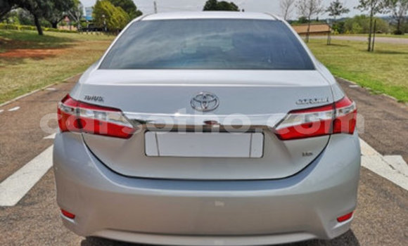 Buy Used Toyota Corolla Silver Car in Hlotse in Leribe Buy Used Toyota Corolla Silver Car in Hlotse in Leribe