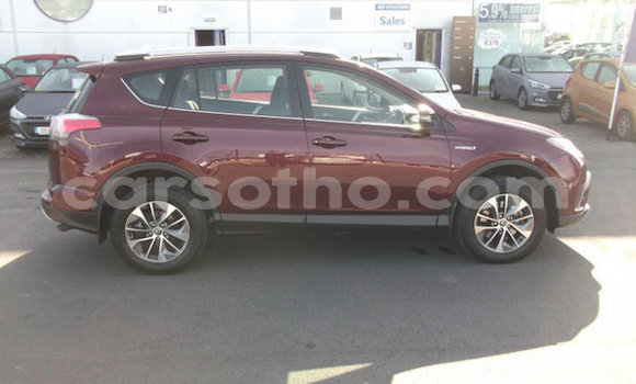 Acheter Occasion Voiture Toyota RAV4 Autre à Mafeteng, Mafeteng Acheter Occasion Voiture Toyota RAV4 Autre à Mafeteng, Mafeteng