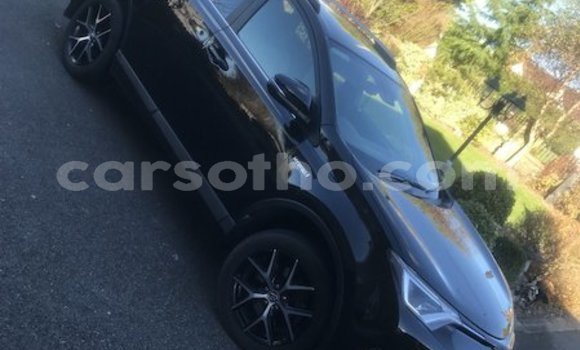 Buy Used Toyota RAV4 Black Car in Maputsoe in Leribe Buy Used Toyota RAV4 Black Car in Maputsoe in Leribe