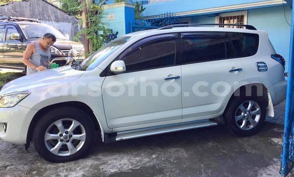 Buy Used Toyota RAV4 White Car in Maputsoe in Leribe Buy Used Toyota RAV4 White Car in Maputsoe in Leribe