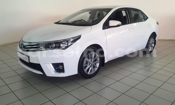 اشتري مستعمل Toyota Corolla White سيارة في Maputsoa في Leribe اشتري مستعمل Toyota Corolla White سيارة في Maputsoa في Leribe