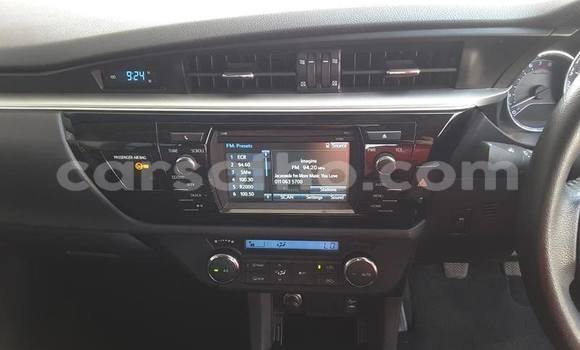 اشتري مستعمل Toyota Corolla White سيارة في Maputsoa في Leribe اشتري مستعمل Toyota Corolla White سيارة في Maputsoa في Leribe