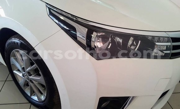 اشتري مستعمل Toyota Corolla White سيارة في Maputsoa في Leribe اشتري مستعمل Toyota Corolla White سيارة في Maputsoa في Leribe