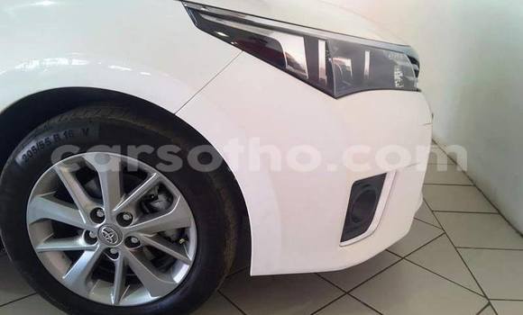 اشتري مستعمل Toyota Corolla White سيارة في Maputsoa في Leribe اشتري مستعمل Toyota Corolla White سيارة في Maputsoa في Leribe