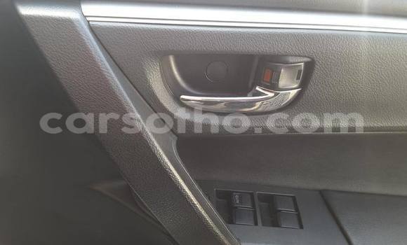 اشتري مستعمل Toyota Corolla White سيارة في Maputsoa في Leribe اشتري مستعمل Toyota Corolla White سيارة في Maputsoa في Leribe