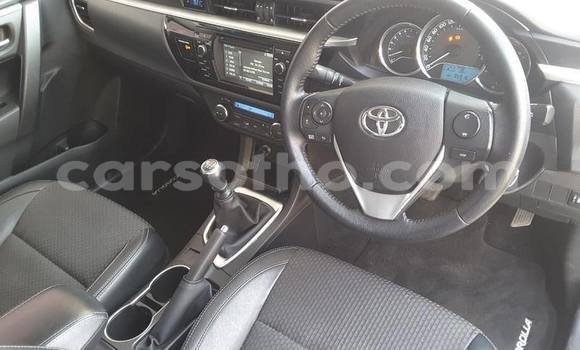 اشتري مستعمل Toyota Corolla White سيارة في Maputsoa في Leribe اشتري مستعمل Toyota Corolla White سيارة في Maputsoa في Leribe