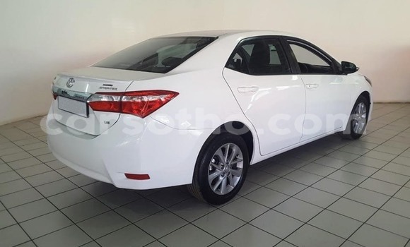 اشتري مستعمل Toyota Corolla White سيارة في Maputsoa في Leribe اشتري مستعمل Toyota Corolla White سيارة في Maputsoa في Leribe