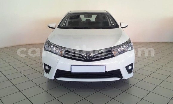 اشتري مستعمل Toyota Corolla White سيارة في Maputsoa في Leribe اشتري مستعمل Toyota Corolla White سيارة في Maputsoa في Leribe