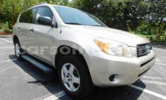 Buy New Toyota RAV4 Silver Car in Butha–Buthe in Thaba-Tseka Buy New Toyota RAV4 Silver Car in Butha–Buthe in Thaba-Tseka