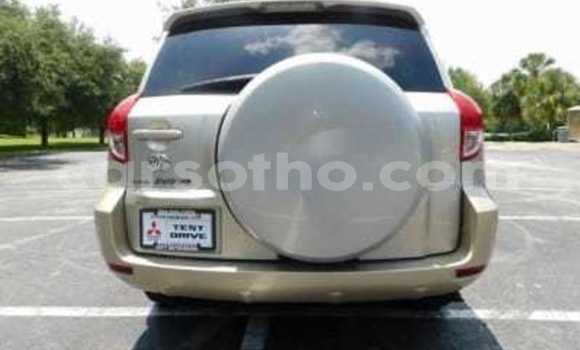 Buy New Toyota RAV4 Silver Car in Butha–Buthe in Thaba-Tseka Buy New Toyota RAV4 Silver Car in Butha–Buthe in Thaba-Tseka