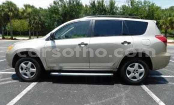 Buy New Toyota RAV4 Silver Car in Hlotse in Leribe Buy New Toyota RAV4 Silver Car in Hlotse in Leribe
