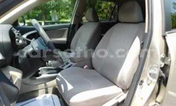 Buy New Toyota RAV4 Silver Car in Hlotse in Leribe Buy New Toyota RAV4 Silver Car in Hlotse in Leribe