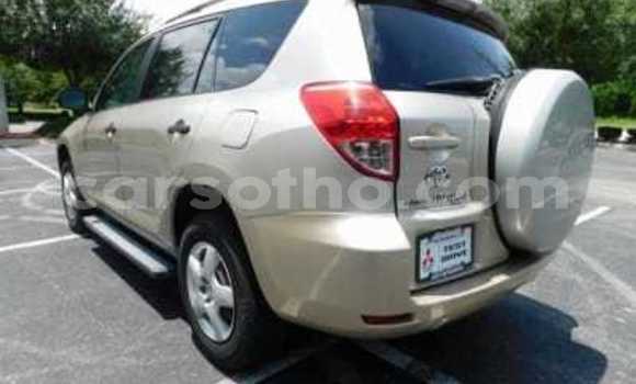 Buy New Toyota RAV4 Silver Car in Mafeteng in Mafeteng Buy New Toyota RAV4 Silver Car in Mafeteng in Mafeteng