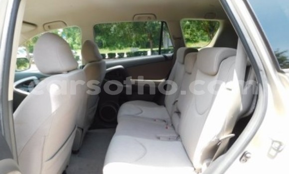 Buy Import Toyota RAV4 White Car in Maputsoe in Leribe Buy Import Toyota RAV4 White Car in Maputsoe in Leribe