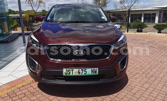 Acheter Occasion Voiture Kia Sportage Autre à Hlotse, Leribe Acheter Occasion Voiture Kia Sportage Autre à Hlotse, Leribe