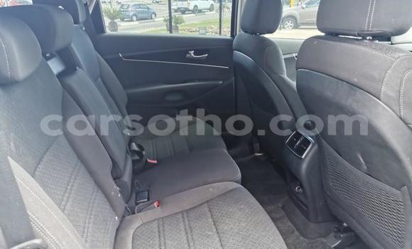 Acheter Occasion Voiture Kia Sportage Autre à Hlotse, Leribe Acheter Occasion Voiture Kia Sportage Autre à Hlotse, Leribe