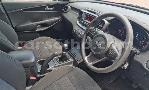 Acheter Occasion Voiture Kia Sportage Autre à Hlotse, Leribe Acheter Occasion Voiture Kia Sportage Autre à Hlotse, Leribe