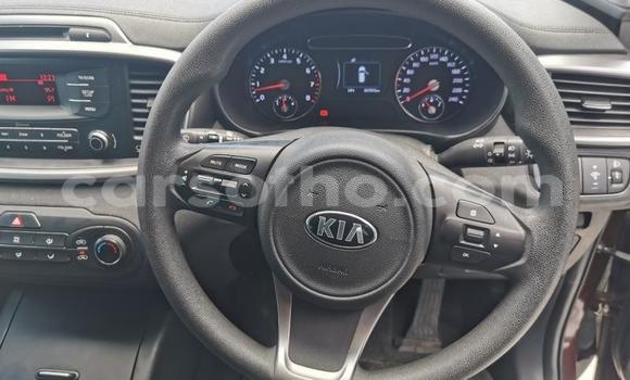 Acheter Occasion Voiture Kia Sportage Autre à Hlotse, Leribe Acheter Occasion Voiture Kia Sportage Autre à Hlotse, Leribe
