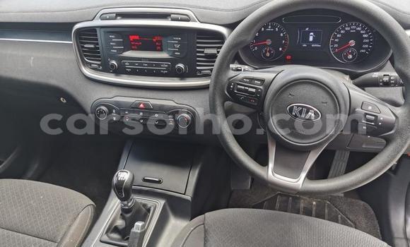 Acheter Occasion Voiture Kia Sportage Autre à Hlotse, Leribe Acheter Occasion Voiture Kia Sportage Autre à Hlotse, Leribe