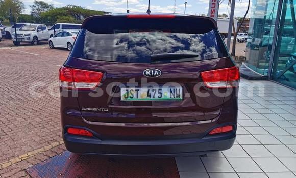 Acheter Occasion Voiture Kia Sportage Autre à Hlotse, Leribe Acheter Occasion Voiture Kia Sportage Autre à Hlotse, Leribe