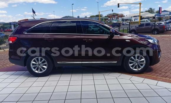 Acheter Occasion Voiture Kia Sportage Autre à Hlotse, Leribe Acheter Occasion Voiture Kia Sportage Autre à Hlotse, Leribe