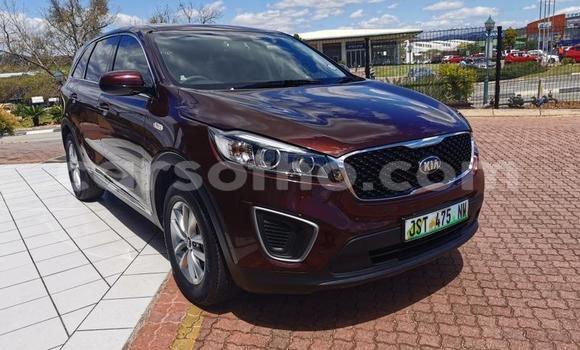 Acheter Occasion Voiture Kia Sportage Autre à Hlotse, Leribe Acheter Occasion Voiture Kia Sportage Autre à Hlotse, Leribe