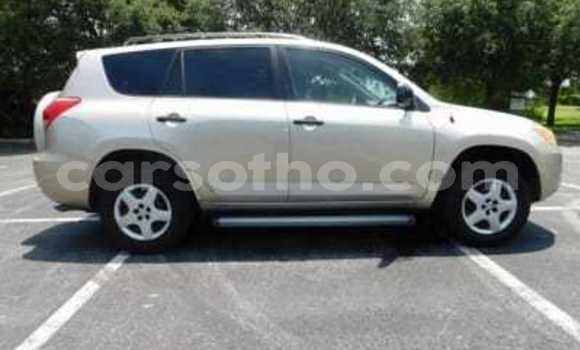 Buy Import Toyota RAV4 Silver Car in Maseru in Maseru Buy Import Toyota RAV4 Silver Car in Maseru in Maseru