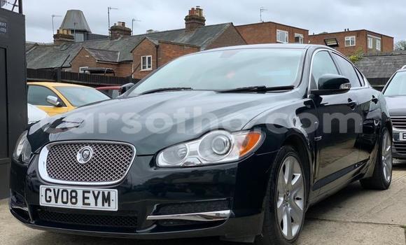 Sayi Na hannu Jaguar XF Green Mota in Thaba–Tseka a Mafeteng Sayi Na hannu Jaguar XF Green Mota in Thaba–Tseka a Mafeteng