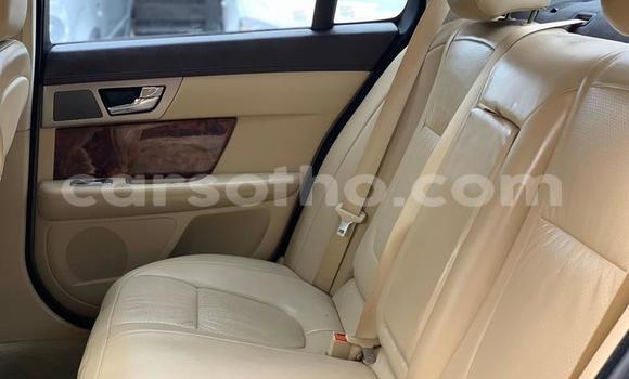 Sayi Na hannu Jaguar XF Green Mota in Thaba–Tseka a Mafeteng Sayi Na hannu Jaguar XF Green Mota in Thaba–Tseka a Mafeteng