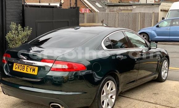 Sayi Na hannu Jaguar XF Green Mota in Thaba–Tseka a Mafeteng Sayi Na hannu Jaguar XF Green Mota in Thaba–Tseka a Mafeteng