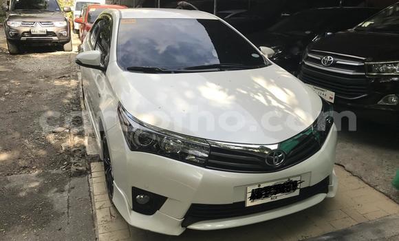 Buy Used Toyota Corolla White Car in Maputsoe in Leribe Buy Used Toyota Corolla White Car in Maputsoe in Leribe