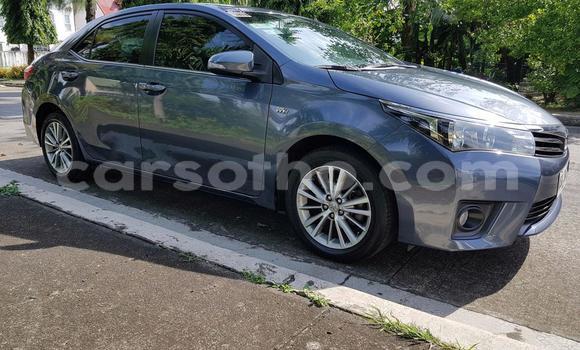 Buy Used Toyota Allex Other Car in Mokhotlong in Berea Buy Used Toyota Allex Other Car in Mokhotlong in Berea